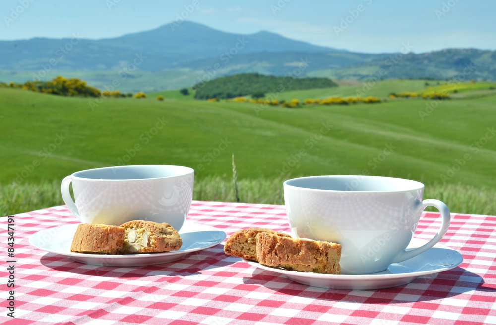 Obraz premium Two coffee cups and cantuccini on the chequered cloth against Tu