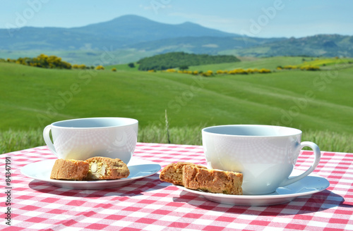Two coffee cups and cantuccini on the chequered cloth against Tu