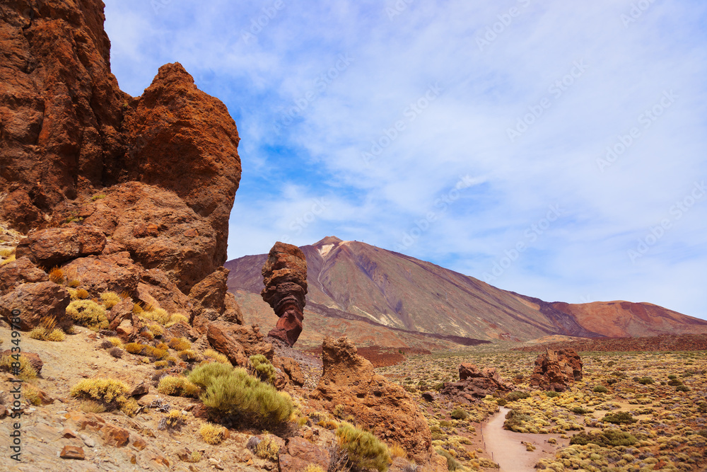 Fototapeta premium Finger Of God rock at volcano Teide in Tenerife island - Canary