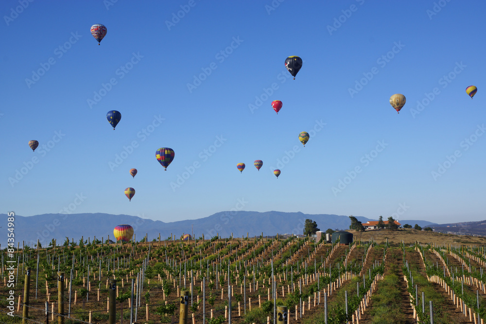 Naklejka premium Balloon and Wine Festival in Temecula, California