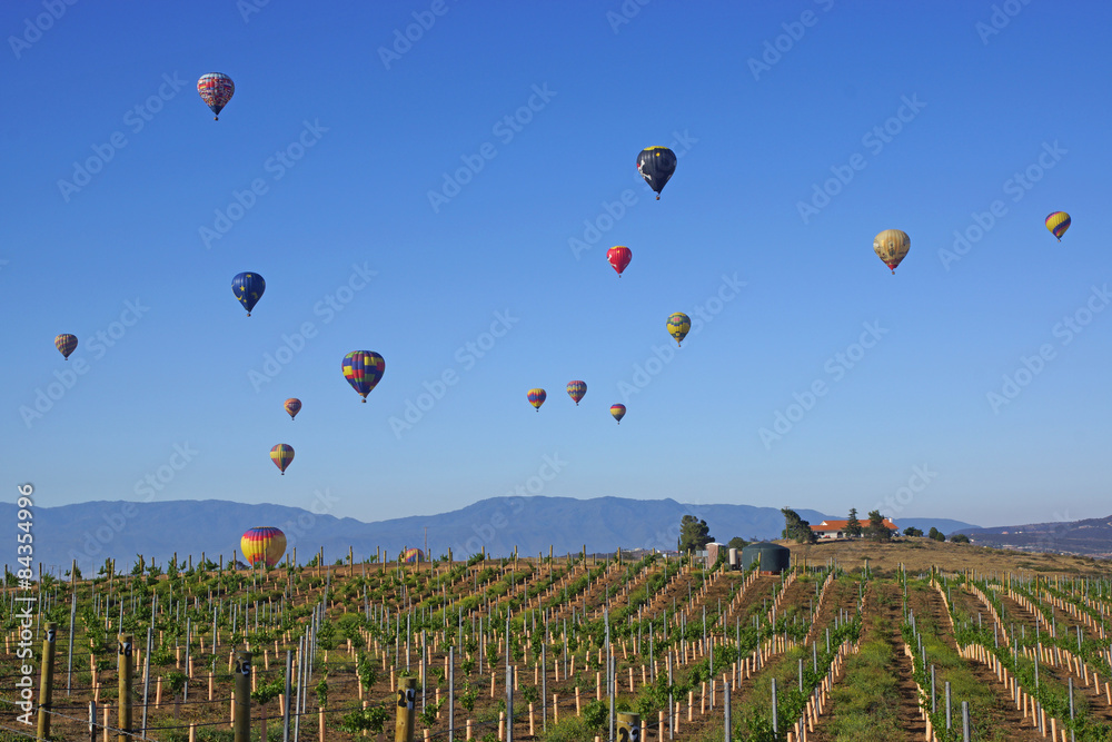 Naklejka premium Balloon and Wine Festival in Temecula, California