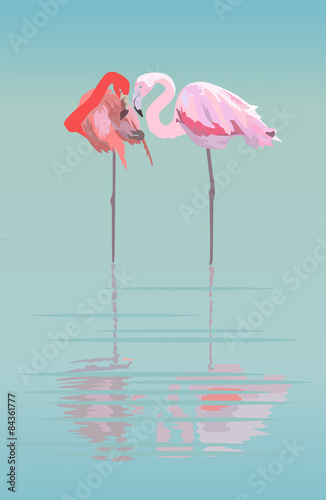 Pair of flamingos in the pond