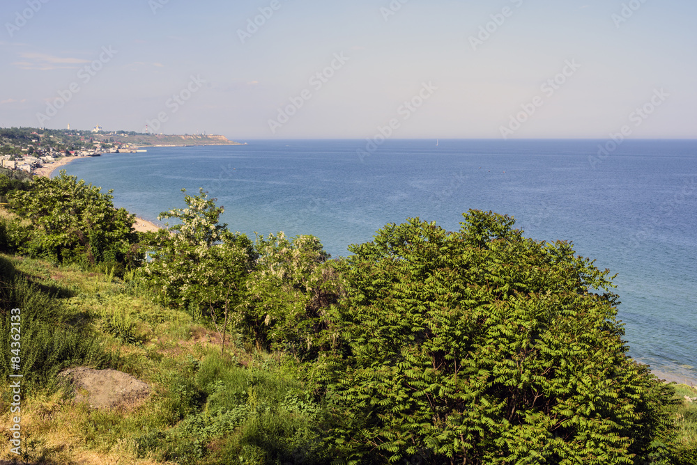 beautiful seascape with green grass and trees beautiful seascape with green grass and trees