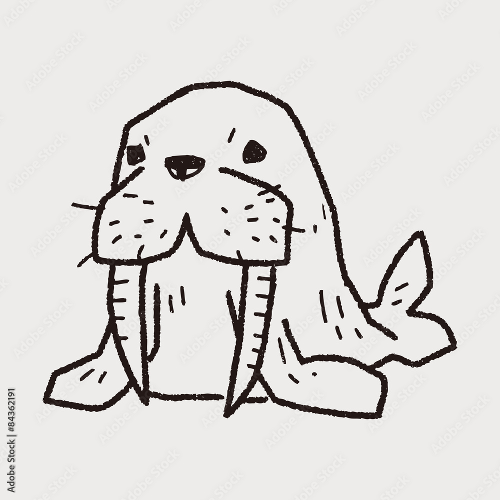 Fototapeta premium walrus doodle