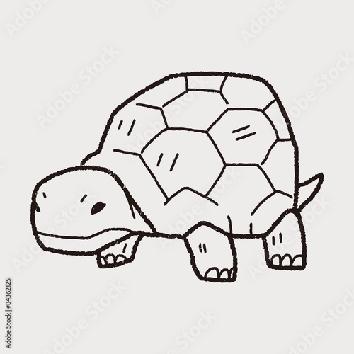 tortoise doodle