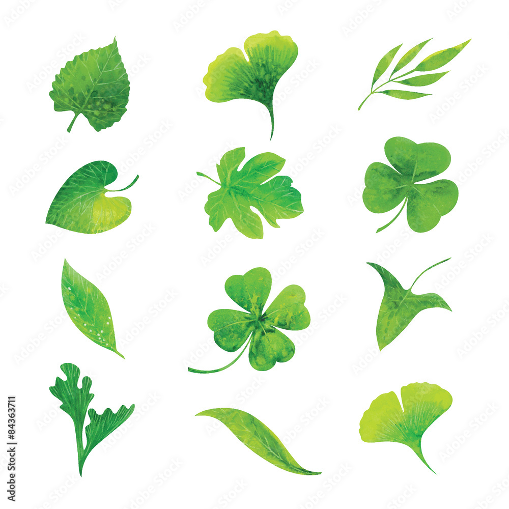 watercolor leaves watercolor leaves