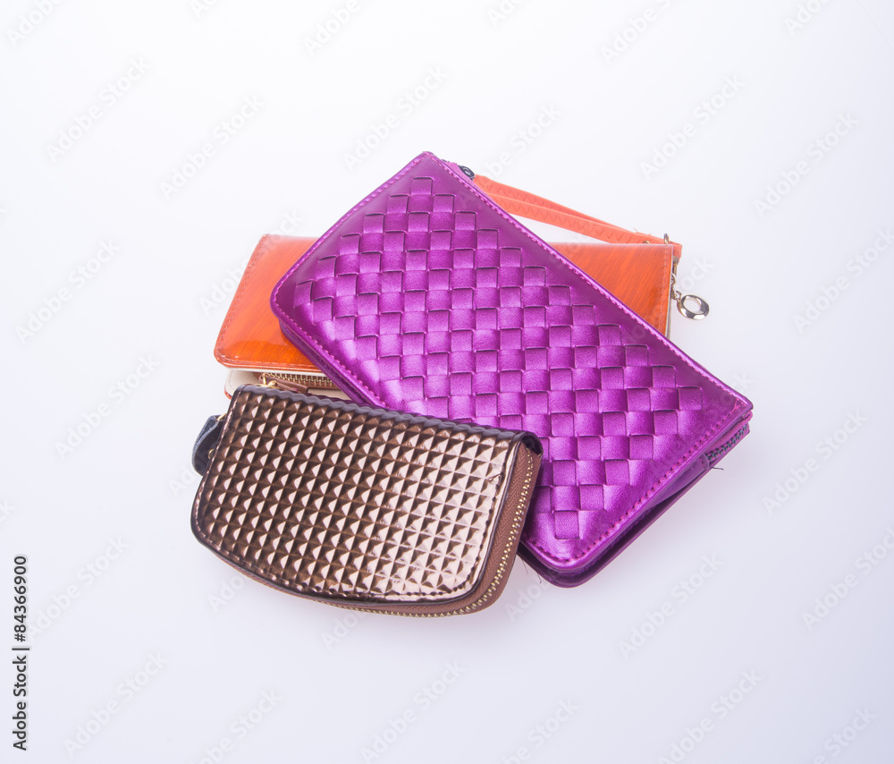 wallet or purse woman on a background. wallet or purse woman on a background.