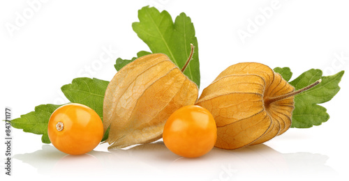 Physalis fruit photo