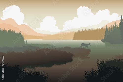 River landscape deer