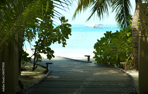 Wooden walkway to ocean over beautiful exotic green trees in Baros Maldives photo