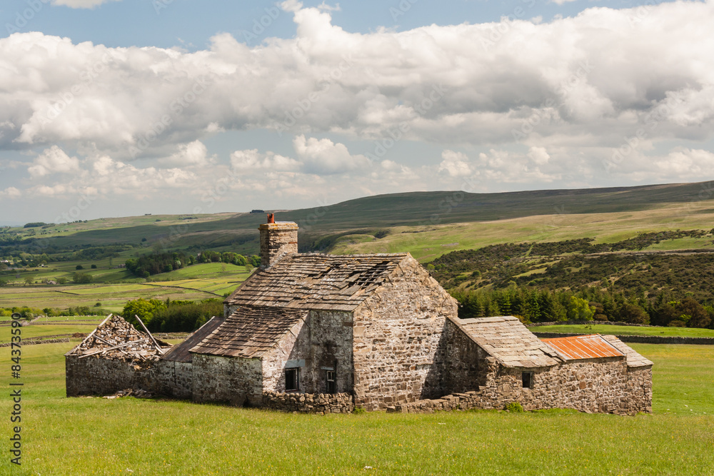 derelict barn on grassy meadow
