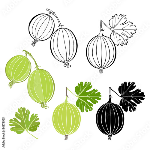 Obraz na płótnie Set of gooseberry isolated on white background.