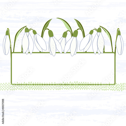 Floral card with frame and snowdrops. Vector background .
