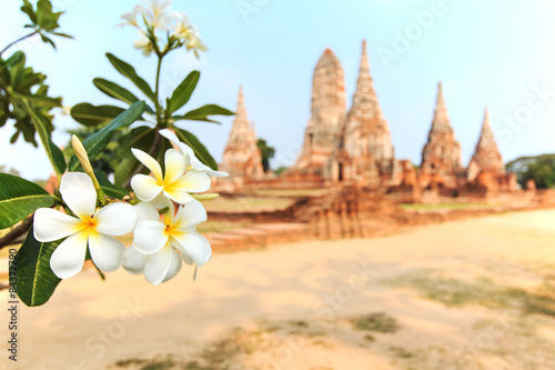 Temple Phra Nakhon in Ayutthaya, Thailand photo