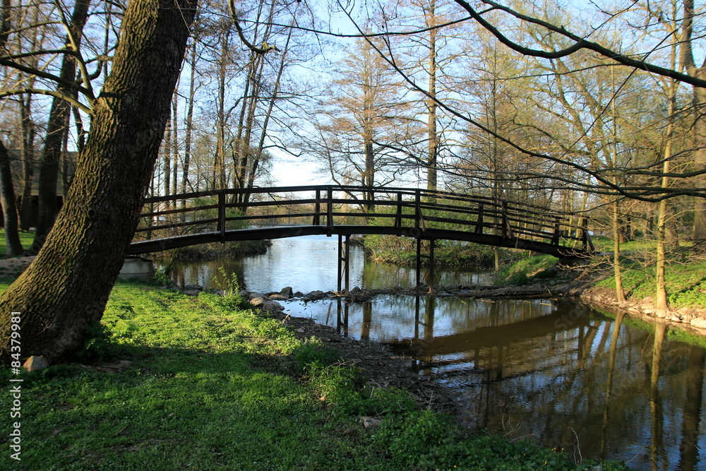 woden food bridge with stream