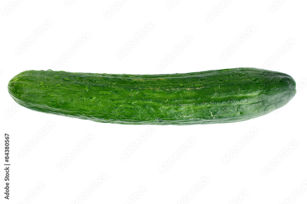 Fresh cucumbers are isolated on a white background Fresh cucumbers are isolated on a white background