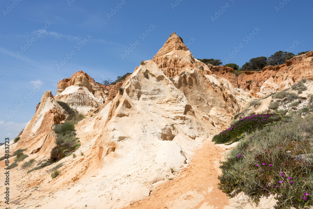 flowers on the Cliffs at Praia da Falesia