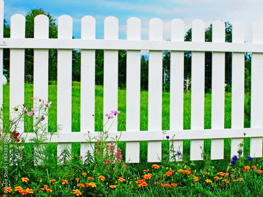 White fence on green grass with flowers. White fence on green grass with flowers.