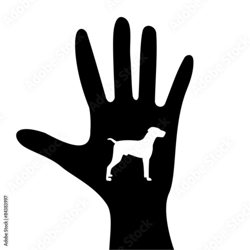 Human hand with a dog