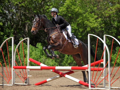 Young female rider and her horse take part in local jumping competition 