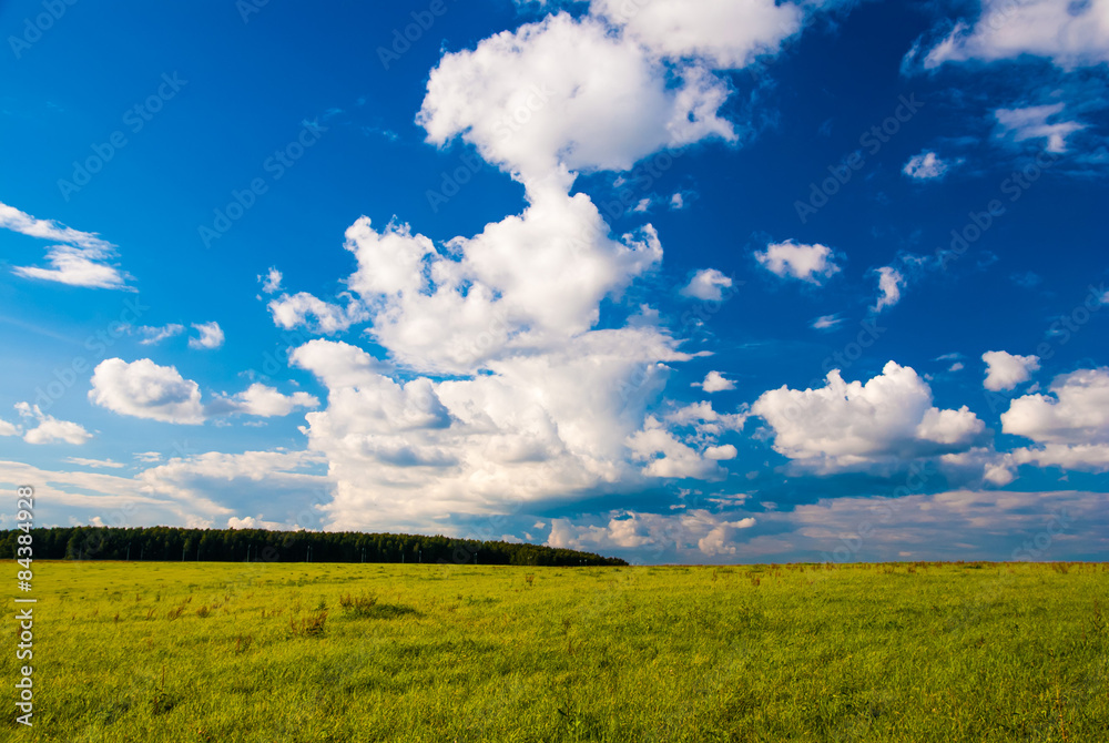 grass field and dramatic sky at sunset