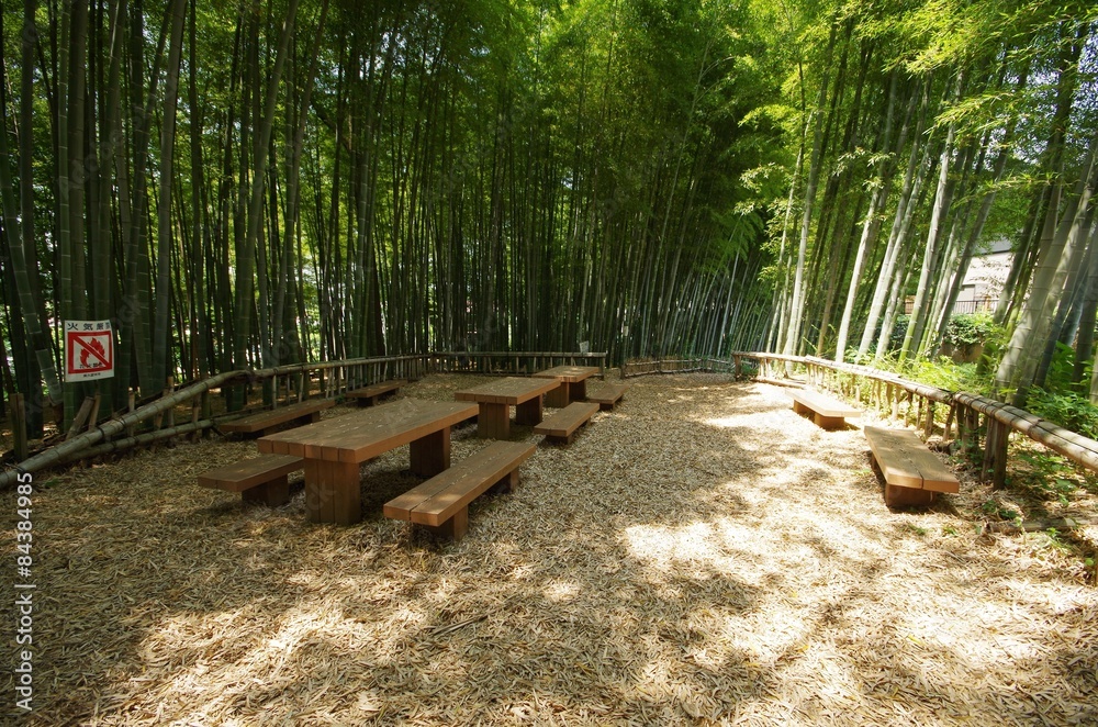 ベンチのある竹林公園 ベンチのある竹林公園
