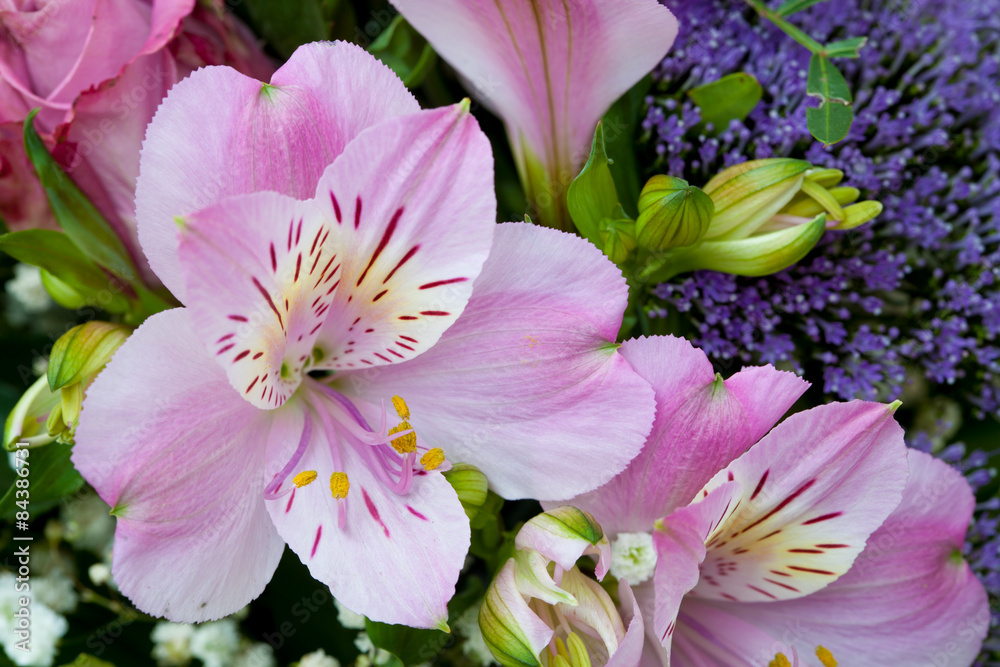 Pink lilies bouquet on a white background Pink lilies bouquet on a white background