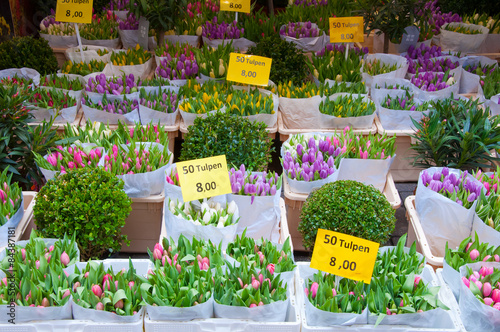 Shop inside of floating barge displays houseplants for sale on the Amsterdam Flower Market, Netherlands. photo