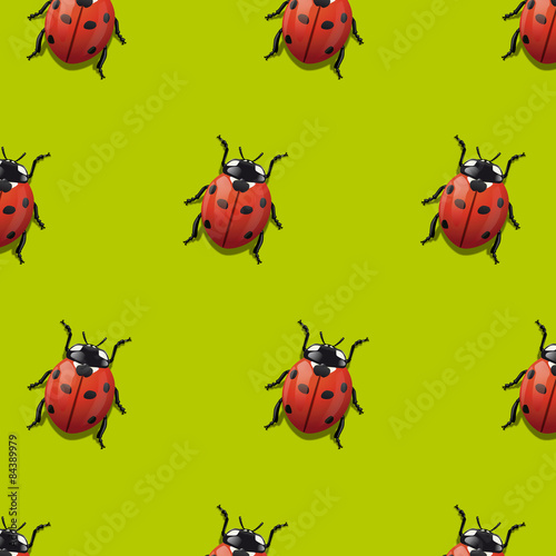 Coccinelle Papier Peint