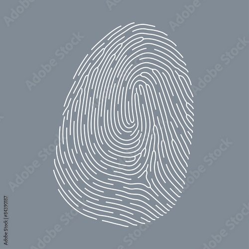 Fingerprint vector