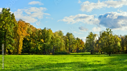 Early Autumn