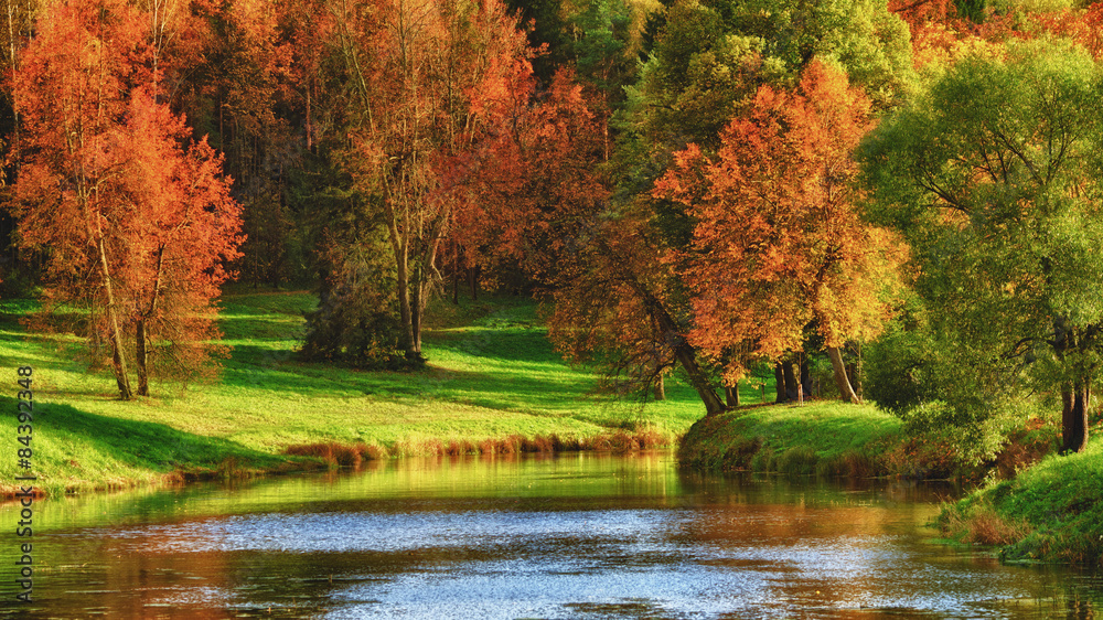 Obraz premium Autumn on a Lake