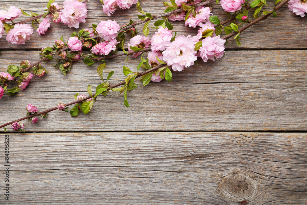 Spring flowering branch on grey wooden background Spring flowering branch on grey wooden background