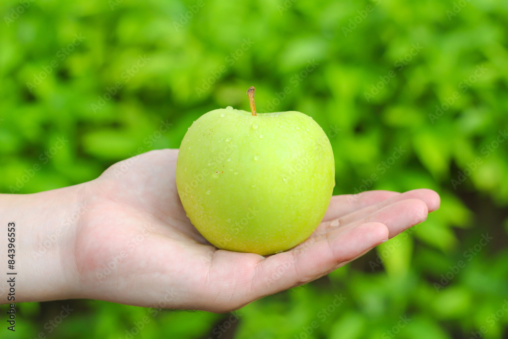 Hand holding green apple with green background Hand holding green apple with green background