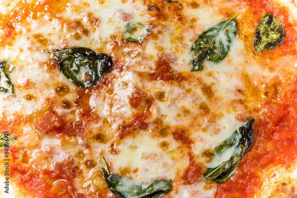 ピッツア マルゲリータ Margherita Pizza ピッツア マルゲリータ Margherita Pizza
