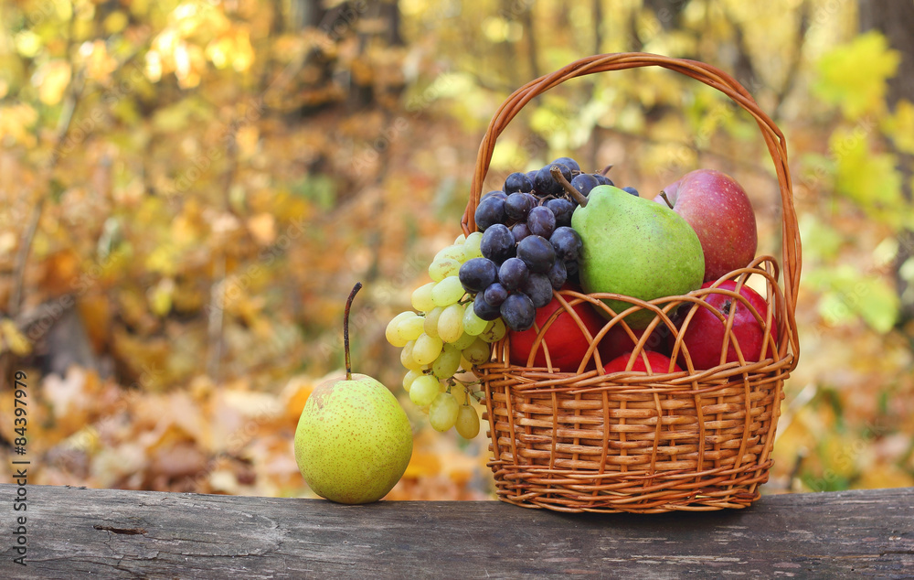 Fresh fruit apples maple autumn harvest Fresh fruit apples maple autumn harvest