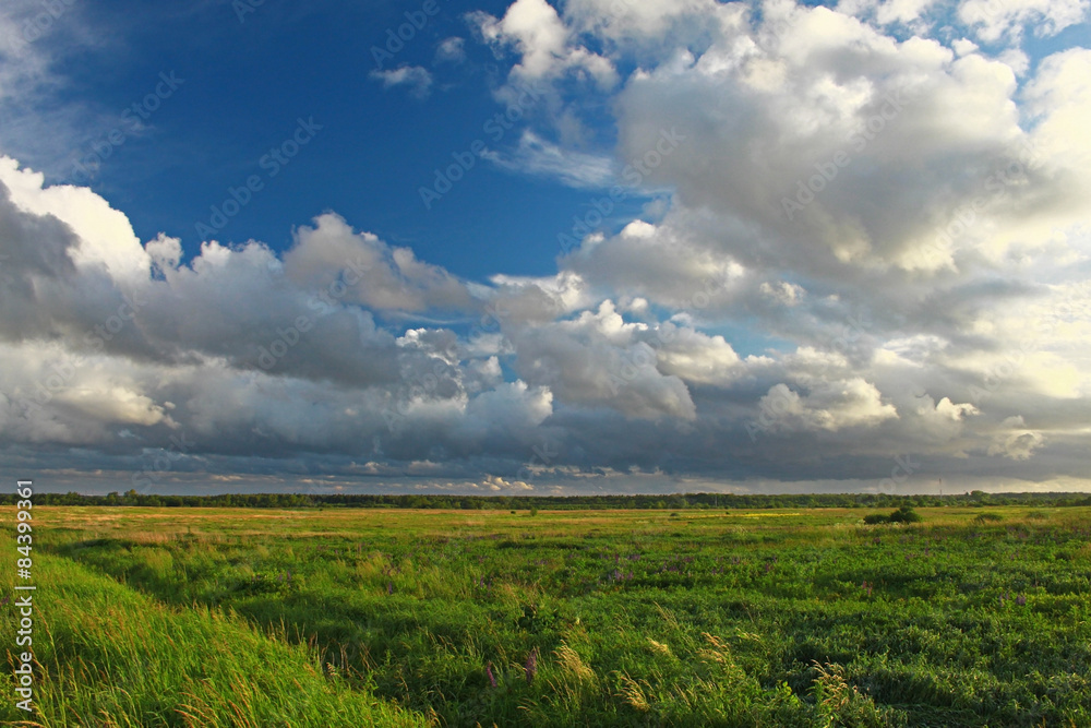 Obraz premium Green field with windy clous and blue sky
