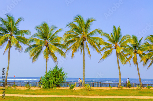 Amazing sandy beach with coconut palm 