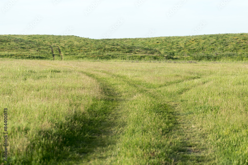 road in a field