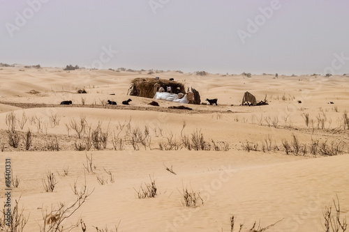 Traditional desert nomad straw dwelling with goats nearby.