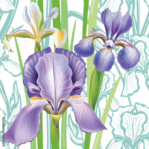 Seamless floral pattern with irises