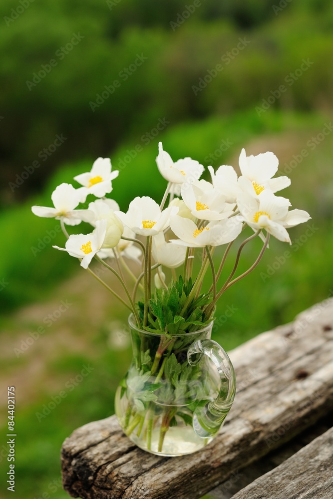 White anemones in glass jar on old wooden bench White anemones in glass jar on old wooden bench