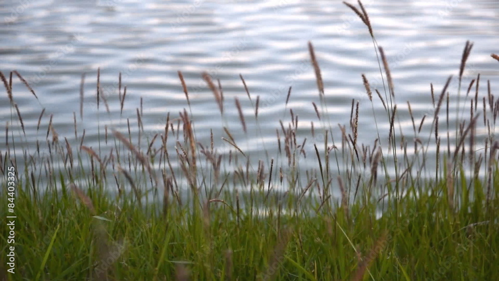 landscape on waterfront and water surface. landscape on waterfront and water surface.