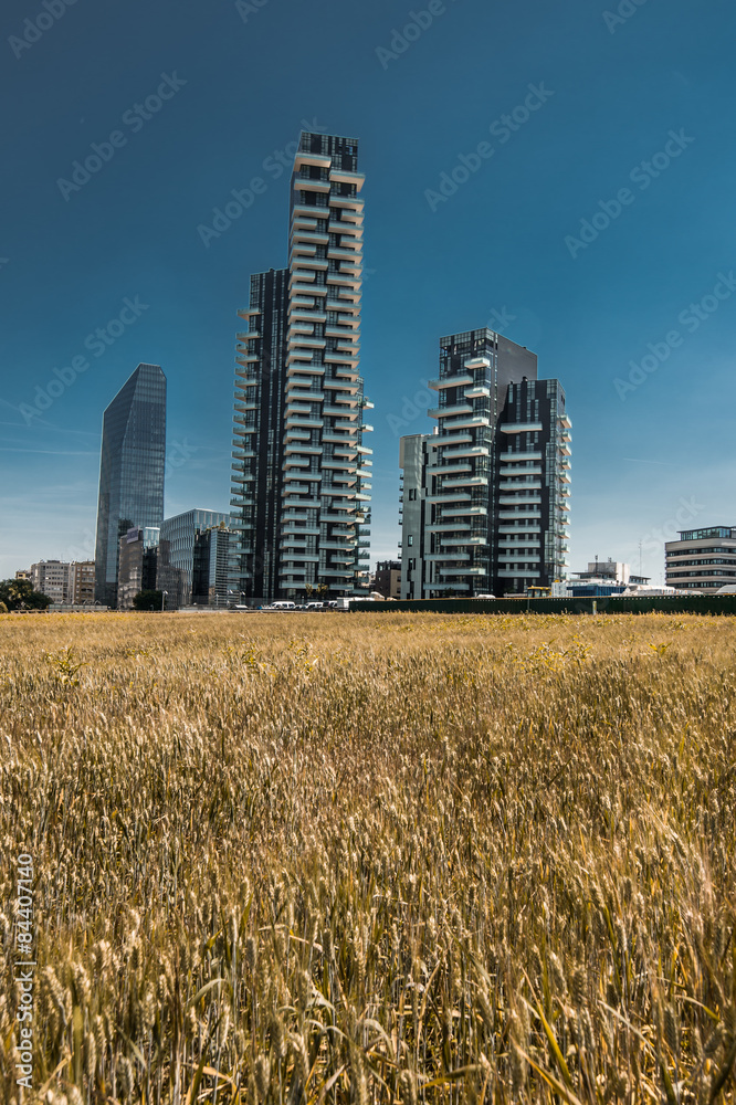 grattacieli e grano a Milano grattacieli e grano a Milano