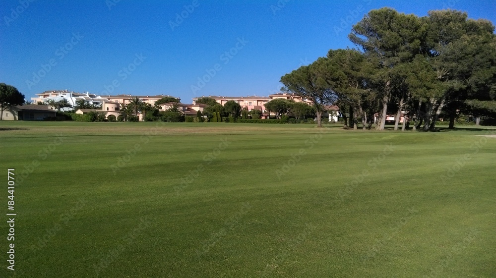 Naklejka premium Golf