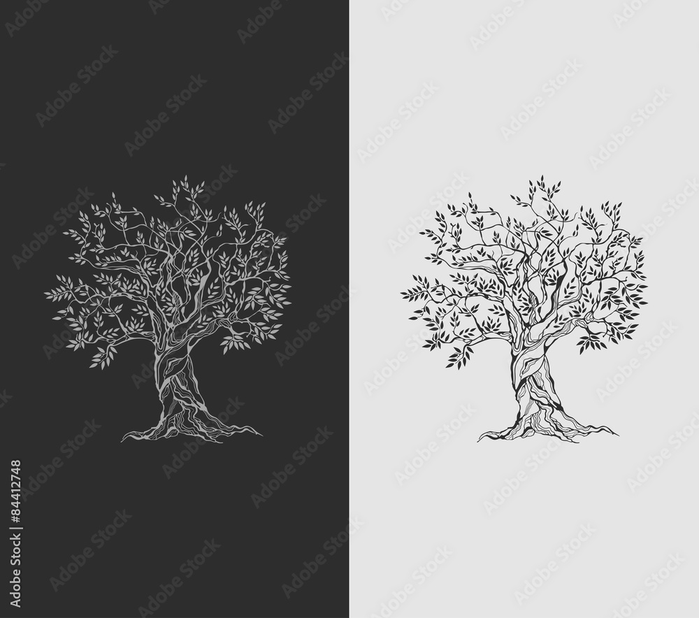 Olive tree on vintage paper