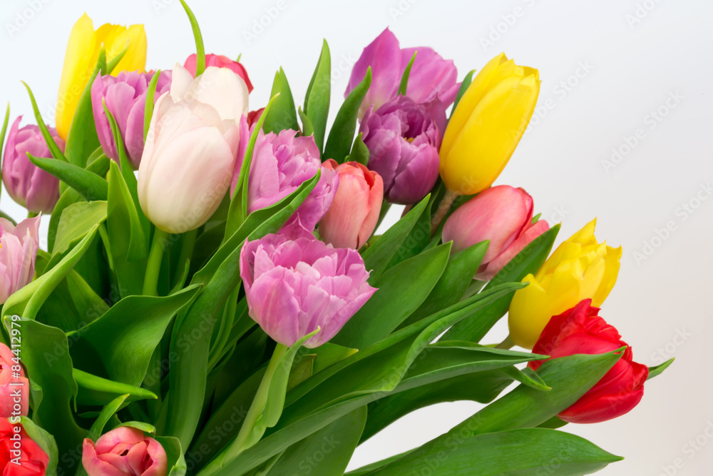 bouquet of tulips mother birthday gift valentine spring background selective soft focus toned photo
