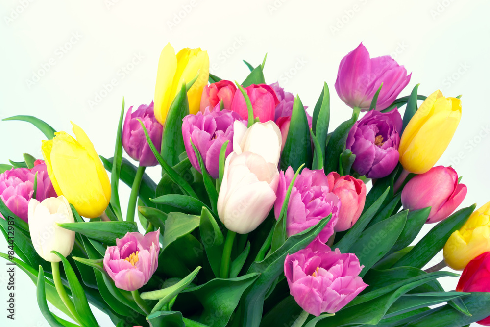 bouquet of tulips mother birthday gift valentine spring background selective soft focus toned photo