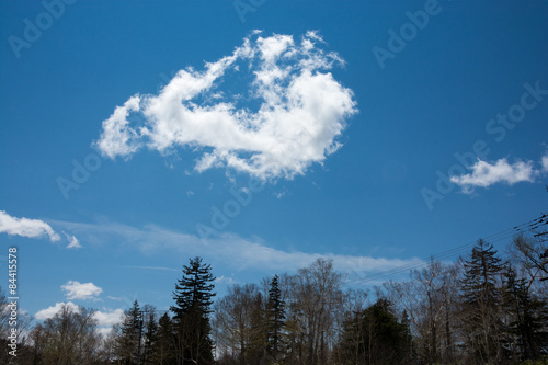 青空に浮かぶ白い雲