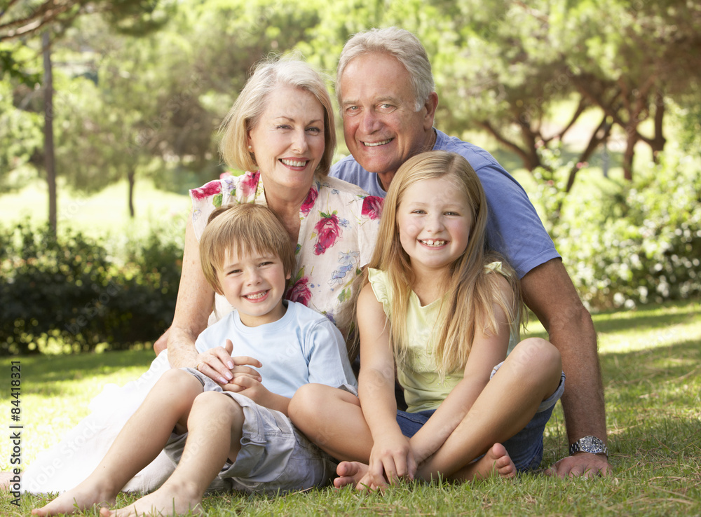 Grandparents And Grandchildren Sitting In Park Together